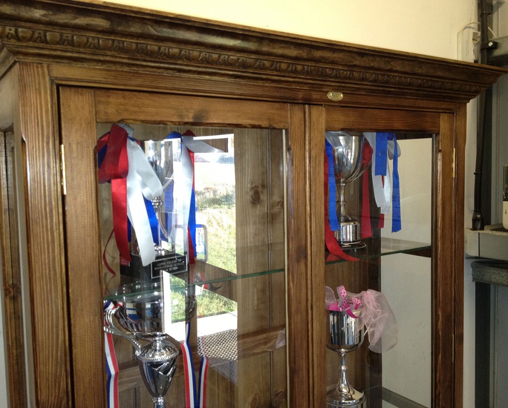 bespoke-wooden-trophy-cabinet-norwich